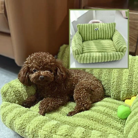 caniche allongé sur coussin pour
chien vert canapé
