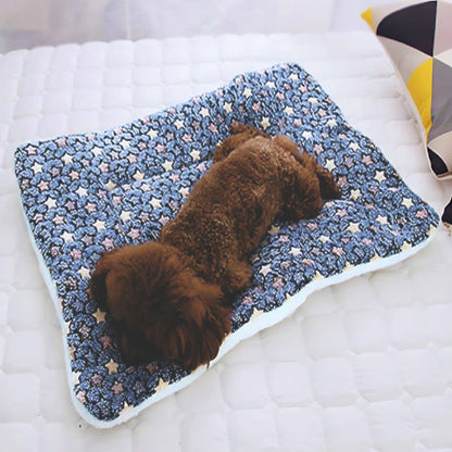 caniche allongé sur tapis chien durable