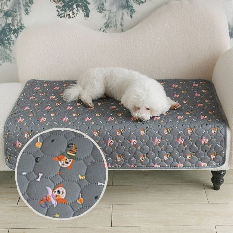 caniche allongé sur tapis pour chien absorbant chien magicien
