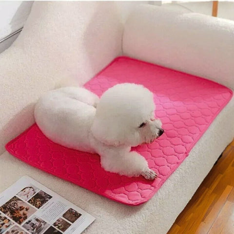 caniche allongé sur tapis pour chien rose réutilisable