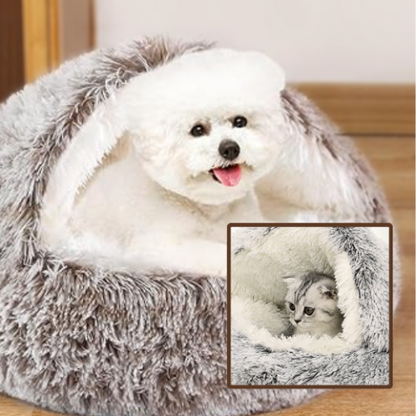 caniche assis dans panier à chien anti stress cookie