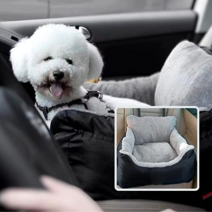 caniche assis dans panier chien noir voiture