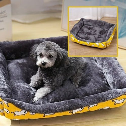 caniche assis dans panier pour chien jaune chouette