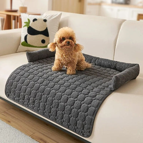 caniche assis sur canapé pour chien gris foncé fino