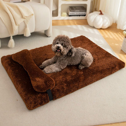 caniche assis sur coussin déhoussable pour chien café ducou