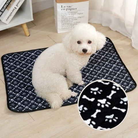 caniche assis sur tapis chien noir et blanc anti fuite