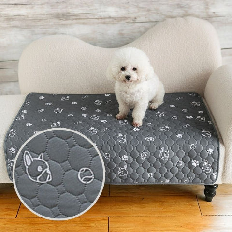 caniche assis sur tapis pour chien bouledogue blanc absorbant