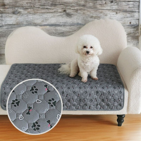 caniche assis sur tapis pour chien patte noire absorbant