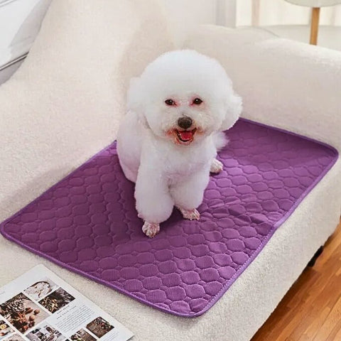 caniche assis sur tapis pour chien violet réutilisable