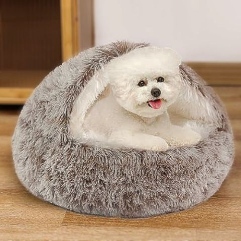 caniche blanc assis dans panier à chien marron cookie