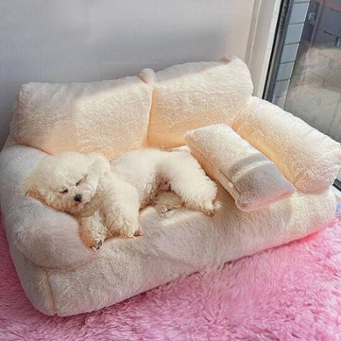 caniche blanc endormi dans panier à chien beige canapé
