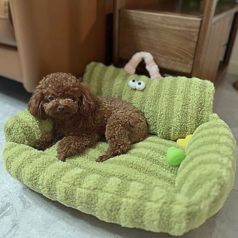 caniche brun allongé sur coussin pour chien vert canapé