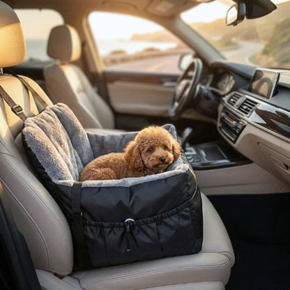caniche brun assis dans panier chien noir voiture