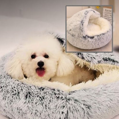 caniche couché dans panier à chien gris clair cookie