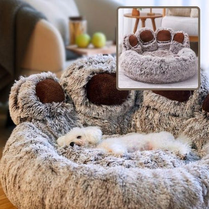 caniche couché dans panier pour chien marron dégradé patte