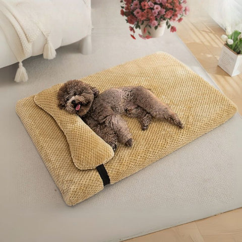caniche couché sur coussin déhoussable pour chien jaune ducou