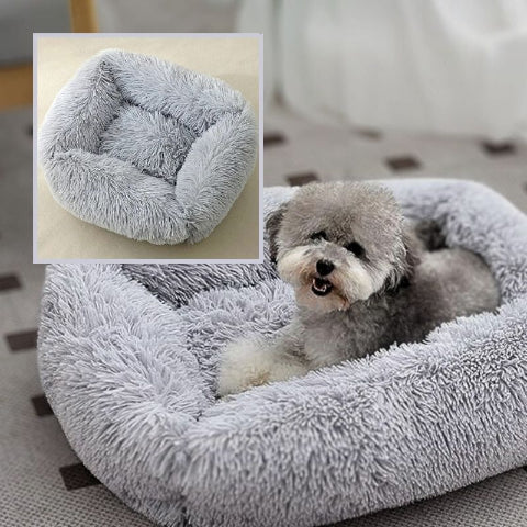 caniche couché sur coussin pour chien gris clair peluche douce