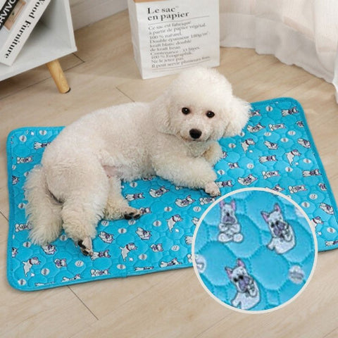 caniche couché sur tapis chien bouledogue anti fuite