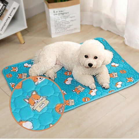 caniche couché sur tapis chien corgi anti fuite