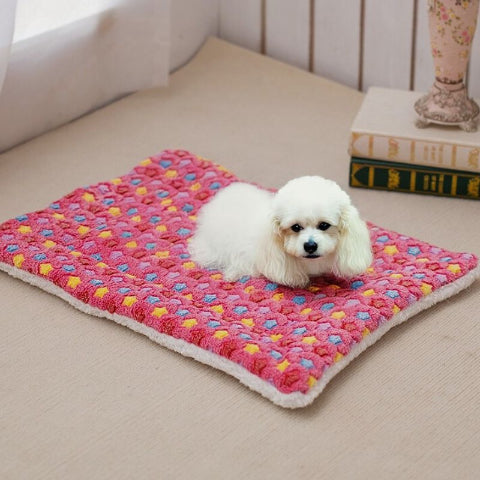 caniche couché sur tapis chien rose avec étoiles