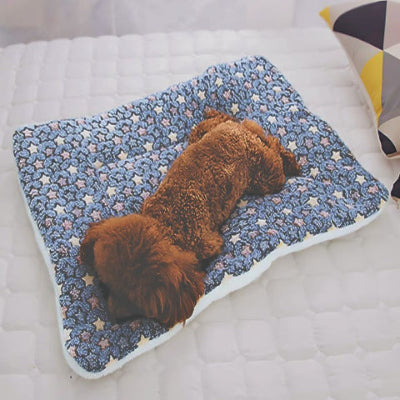 caniche endormi sur tapis chien durable flanelle respirante