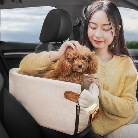 caniche marron assis dans panier pour chien beige bagnole
