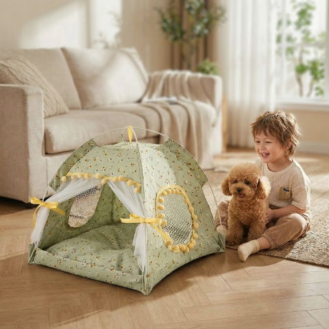 caniche toy avec enfant assis près tente chien verte coconelle