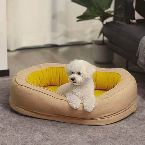 caniche toy couché dans lit pour chien confort ovalon