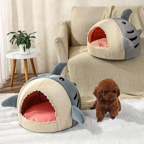 caniche toy près niche d'intérieur pour chien antistress requinou