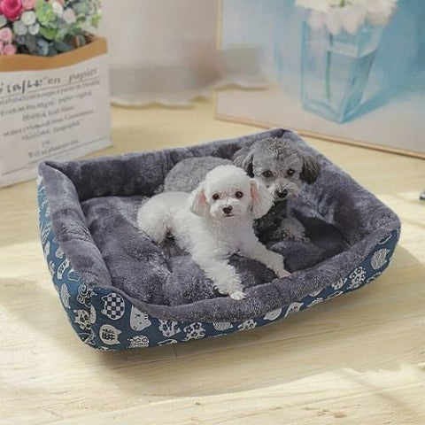 caniches allongés dans panier pour chien bleu chouette