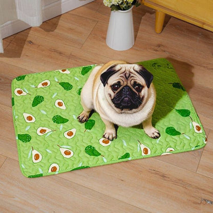 carlin assis sur tapis rafraîchissant chien vert animos