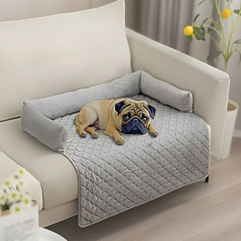 carlin couché sur canapé lit pour chien gris clair douni