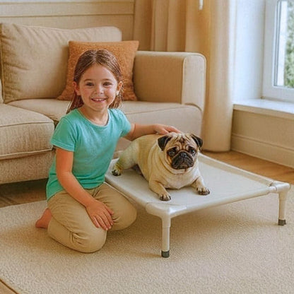 carlin couché sur lit de camp chien beige aventure