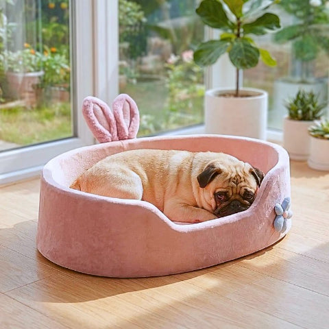 carlin endormi dans couchage chien anti-stress rosi