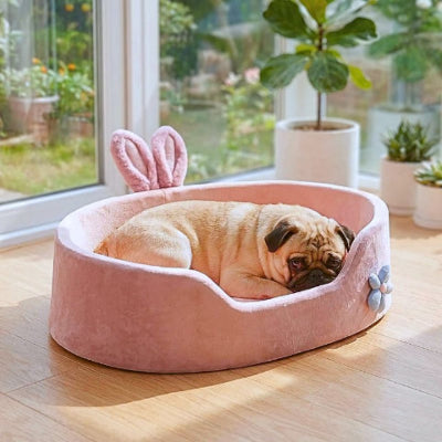 carlin endormi dans couchage chien anti-stress rosi