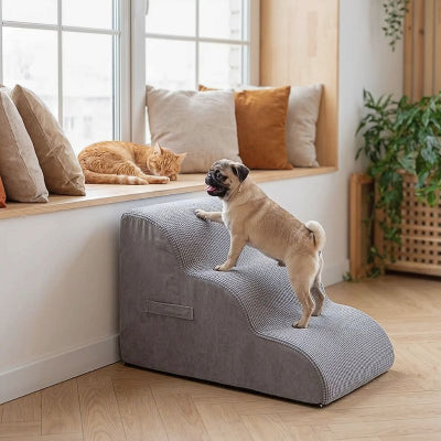 Carlin montant un escalier chien Pachou gris antidérapant