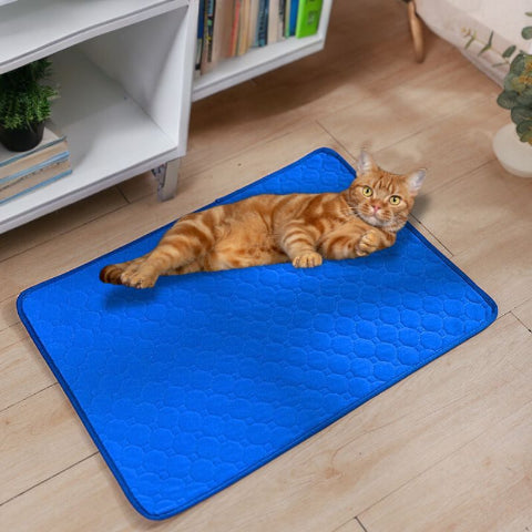 chat allongé sur tapis pour chien respirant réutilisable