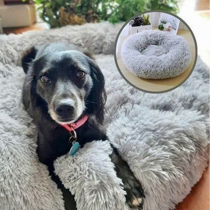 chien allongé dans panier chien gris pâle rond