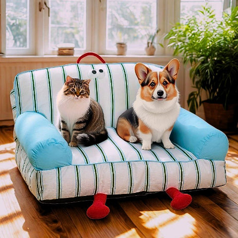 chien et chat assis sur canapé chien antidérapant rayola