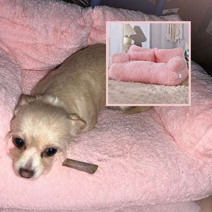 chihuahu allongé dans panier à chien rose canapé