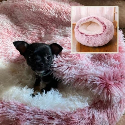 chihuahua assis dans panier à chien rose cookie