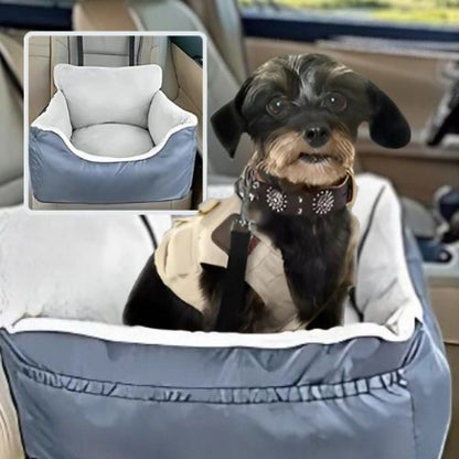 chihuahua assis dans panier chien gris voiture