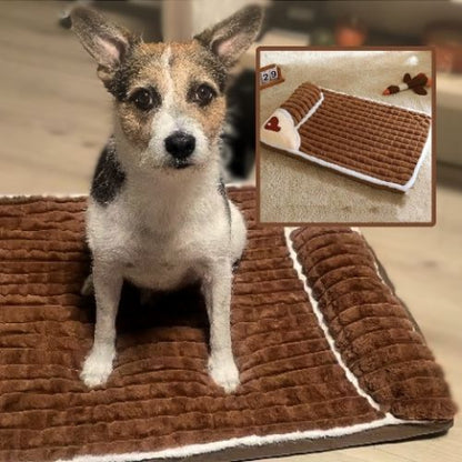 chihuahua assis sur coussin chien marron protège cervicale