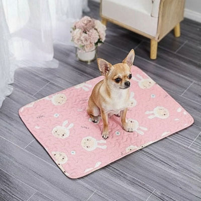 chihuahua assis sur tapis rafraichissant chien rose animos