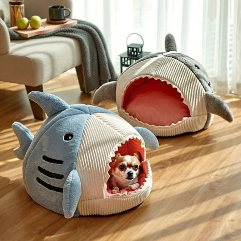 chihuahua couché dans niche d'intérieur pour chien bleu requinou