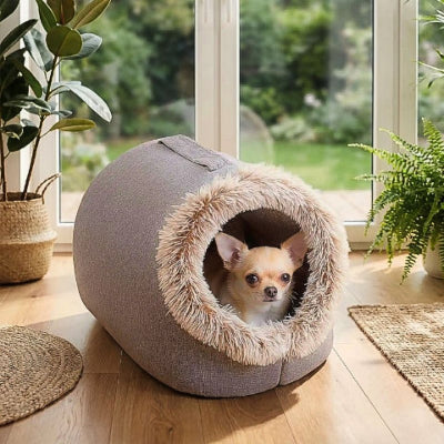 chihuahua dans grotte pour chien marron cavina