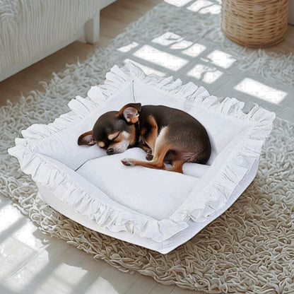 chihuahua endormi dans couchage chien blanc froufrou