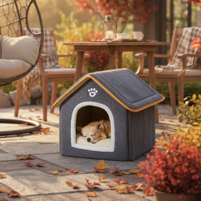chihuahua endormi dans niche d'intérieur pour chien choupi chaleureuse 