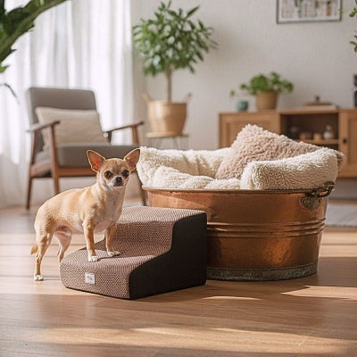 Chihuahua se prépare à monter un escalier en mousse pour chien Pico marron