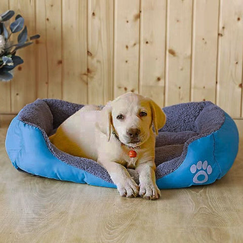 chiot allongé dans couchage chien bleu cozy